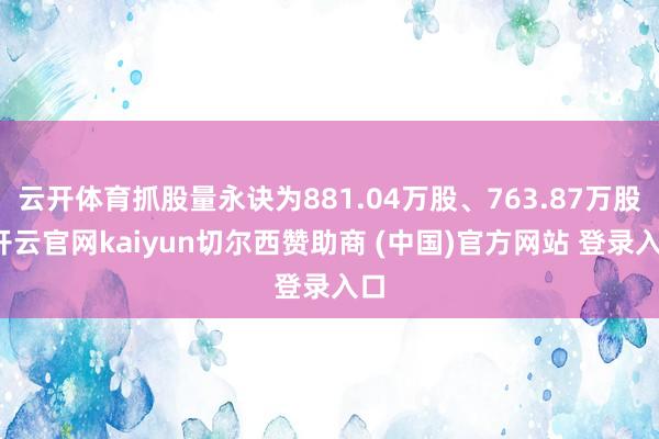 云开体育抓股量永诀为881.04万股、763.87万股-开云官网kaiyun切尔西赞助商 (中国)官方网站 登录入口