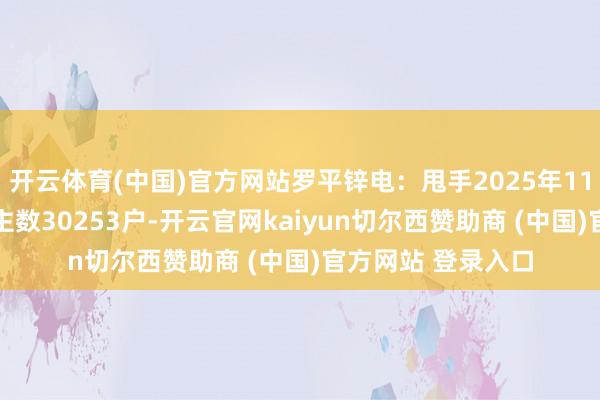 开云体育(中国)官方网站罗平锌电：甩手2025年11月10日鞭策东谈主数30253户-开云官网kaiyun切尔西赞助商 (中国)官方网站 登录入口