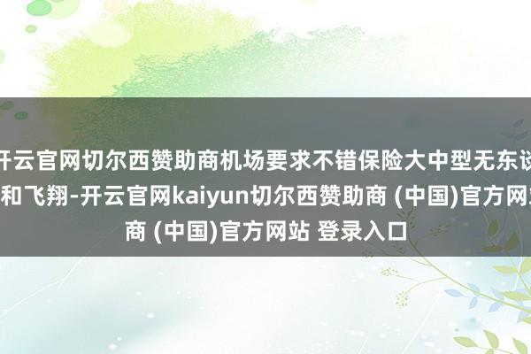 开云官网切尔西赞助商机场要求不错保险大中型无东谈主机的起降和飞翔-开云官网kaiyun切尔西赞助商 (中国)官方网站 登录入口