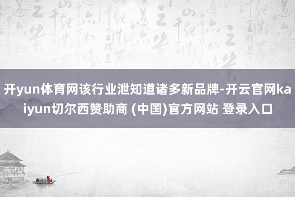 开yun体育网该行业泄知道诸多新品牌-开云官网kaiyun切尔西赞助商 (中国)官方网站 登录入口